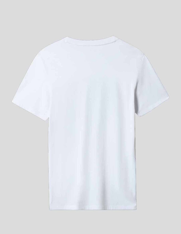 T-shirt THE NORTH FACE pride tee white